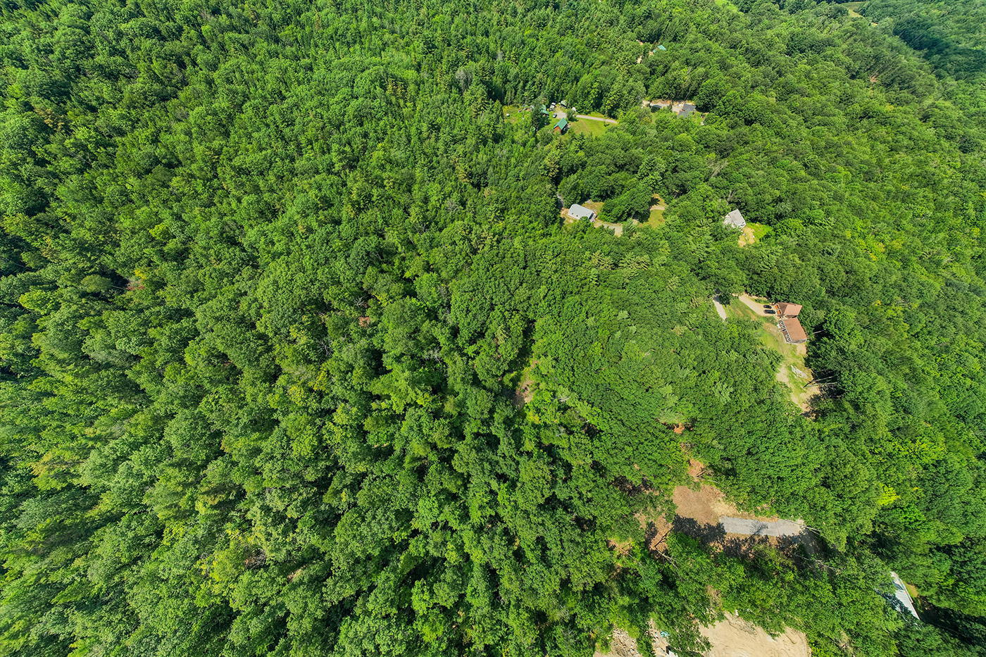 06-DJI_0136