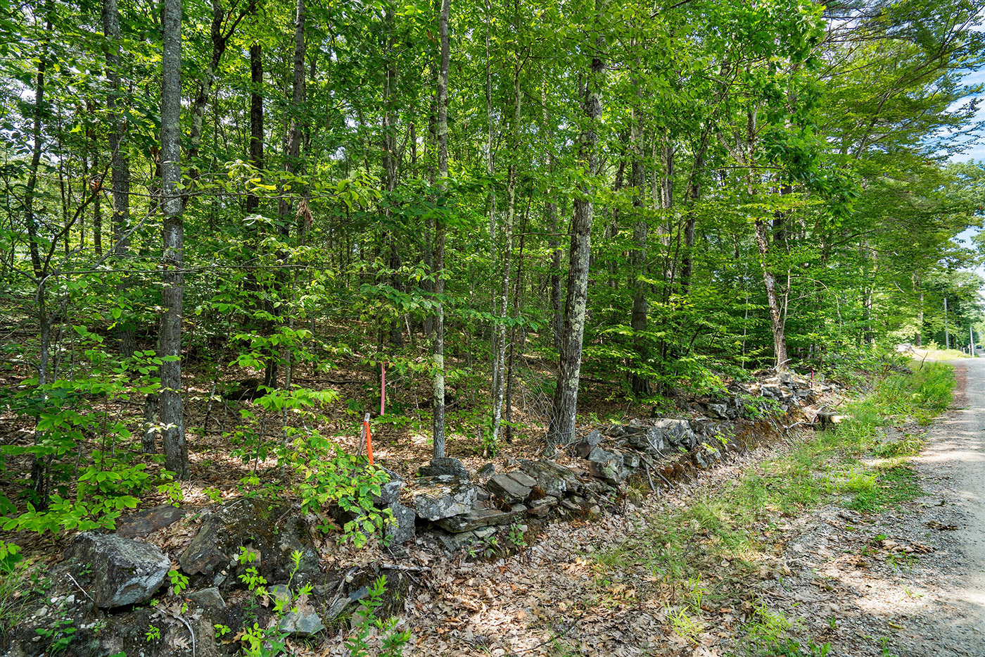 15-NY304833-Edit